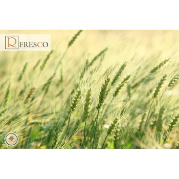 Фреска Renaissance Fresco Nature (f4146)