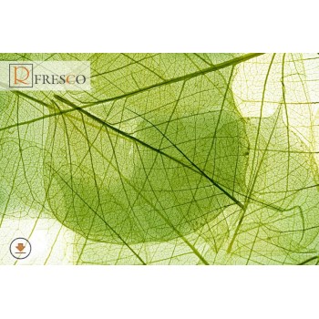 Фреска Renaissance Fresco Nature (f4157)