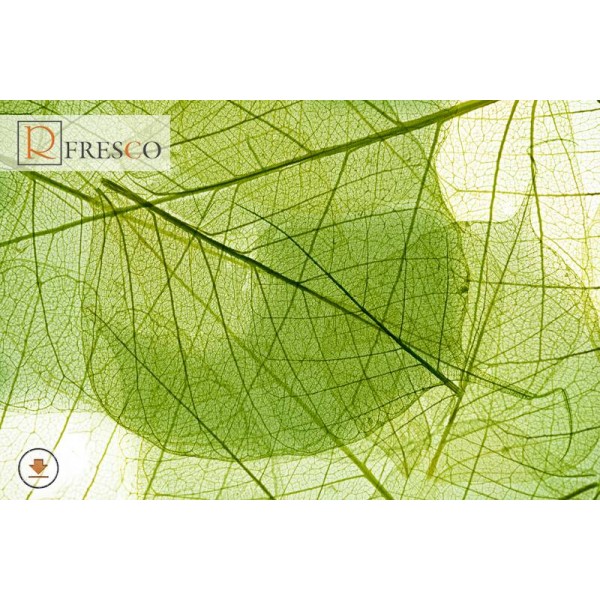 Фреска Renaissance Fresco Nature (f4157)