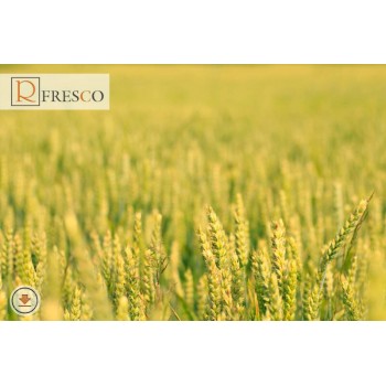 Фреска Renaissance Fresco Nature (f4183)