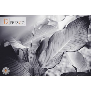 Фреска Renaissance Fresco Nature (f4191)