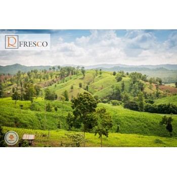 Фреска Renaissance Fresco Nature (f4203)