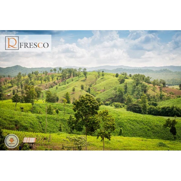 Фреска Renaissance Fresco Nature (f4203)