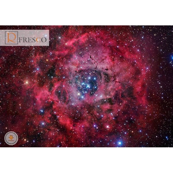 Фреска Renaissance Fresco Space (F5024)